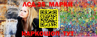 индика Жуковский