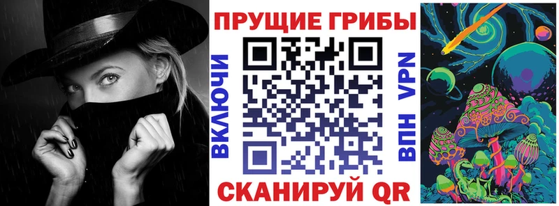 mega ссылки  Норильск  Псилоцибиновые грибы мицелий 